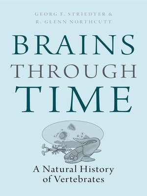 cover image of Brains Through Time